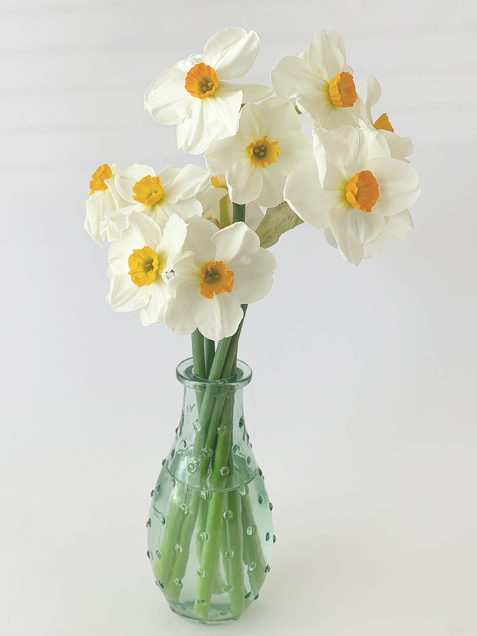 nar-jonquil-enmasse